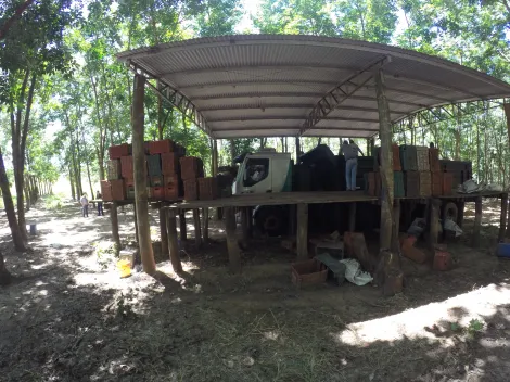Comprar Rural / Fazenda em Auriflama R$ 12.000.000,00 - Foto 40