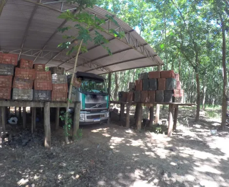 Comprar Rural / Fazenda em Auriflama R$ 12.000.000,00 - Foto 41