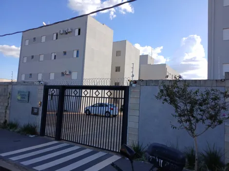Alugar Apartamento / Padr&atilde;o em S&atilde;o Jos&eacute; do Rio Preto. apenas R$ 700,00