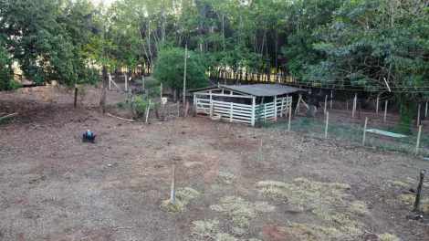 Comprar Rural / S&iacute;tio em Mirassol&acirc;ndia R$ 1.080.000,00 - Foto 14