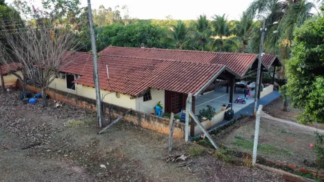 Comprar Rural / S&iacute;tio em Mirassol&acirc;ndia R$ 1.080.000,00 - Foto 13