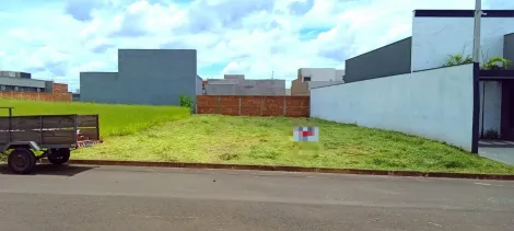 Terreno / Padr&atilde;o em Ol&iacute;mpia 