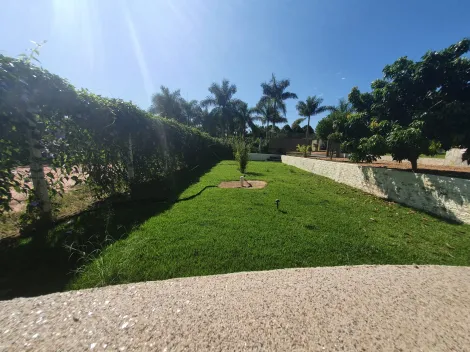 Comprar Rural / Ch&aacute;cara em Cedral R$ 600.000,00 - Foto 15