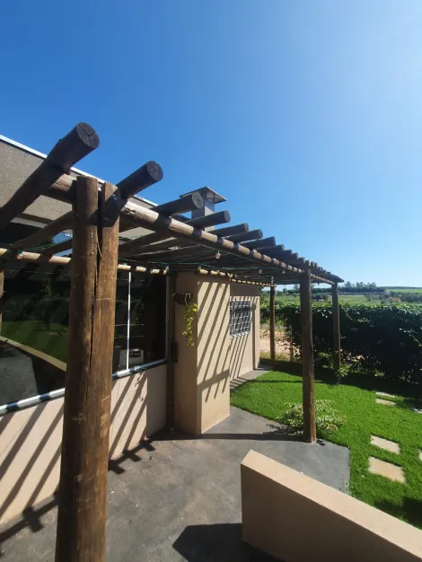 Comprar Rural / Ch&aacute;cara em Cedral R$ 600.000,00 - Foto 18