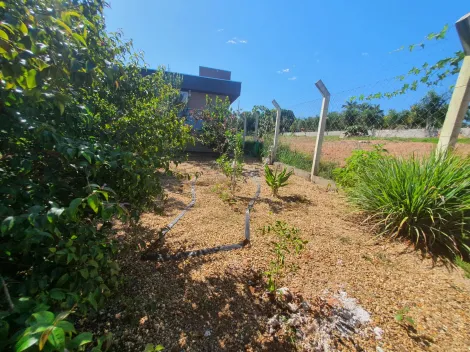 Comprar Rural / Ch&aacute;cara em Cedral R$ 600.000,00 - Foto 21