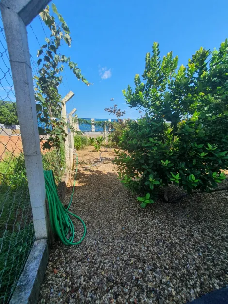 Comprar Rural / Ch&aacute;cara em Cedral R$ 600.000,00 - Foto 23