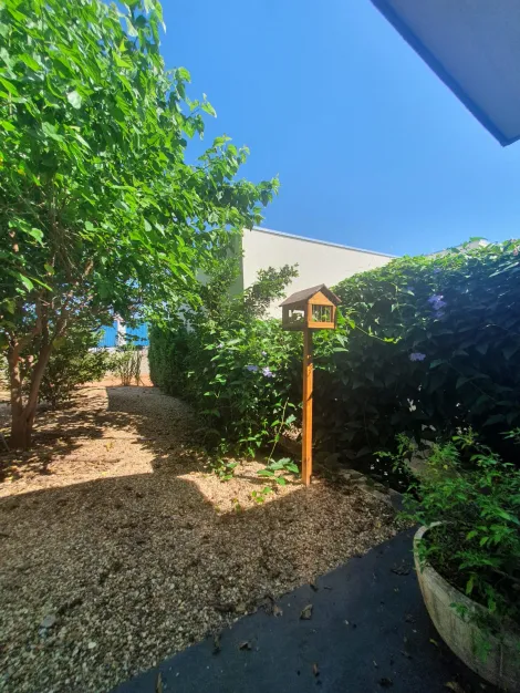 Comprar Rural / Ch&aacute;cara em Cedral R$ 600.000,00 - Foto 24