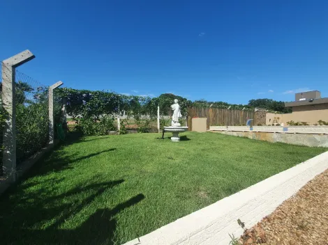 Comprar Rural / Ch&aacute;cara em Cedral R$ 600.000,00 - Foto 3
