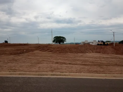 Comprar Terreno / Padr&atilde;o em S&atilde;o Jos&eacute; do Rio Preto R$ 94.500,00 - Foto 6