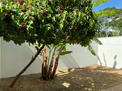 Alugar Casa / Padr&atilde;o em Bady Bassitt R$ 1.500,00 - Foto 33