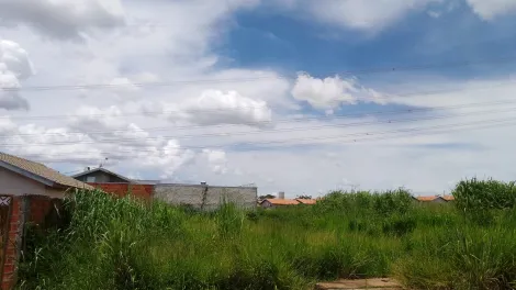 Comprar Terreno / Padr&atilde;o em Bady Bassitt R$ 90.000,00 - Foto 2