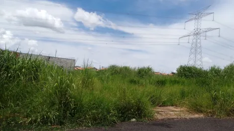 Alugar Terreno / Padr&atilde;o em Bady Bassitt. apenas R$ 90.000,00