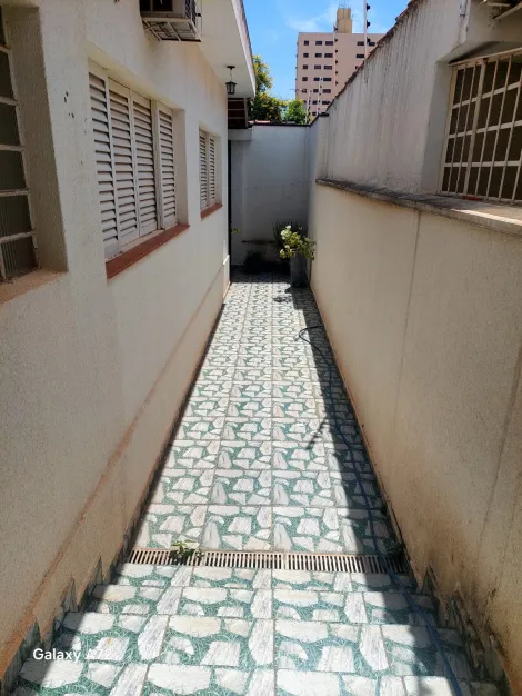 Alugar Casa / Padr&atilde;o em S&atilde;o Jos&eacute; do Rio Preto R$ 2.500,00 - Foto 12