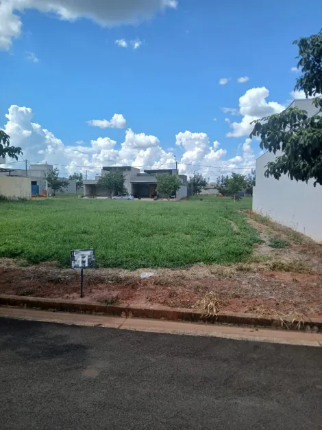 Alugar Terreno / Condom&iacute;nio em Ipigu&aacute;. apenas R$ 115.000,00