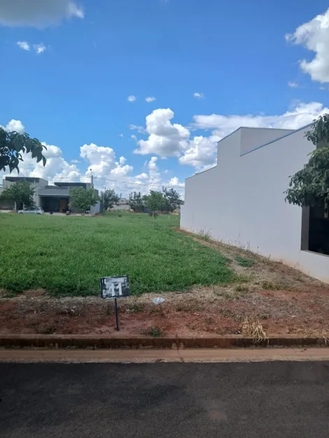 Comprar Terreno / Condom&iacute;nio em Ipigu&aacute; R$ 115.000,00 - Foto 2