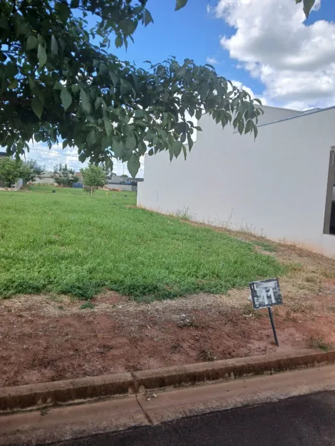 Comprar Terreno / Condom&iacute;nio em Ipigu&aacute; R$ 115.000,00 - Foto 3