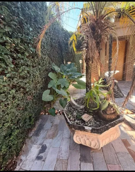 Comprar Casa / Padr&atilde;o em S&atilde;o Jos&eacute; do Rio Preto R$ 780.000,00 - Foto 10