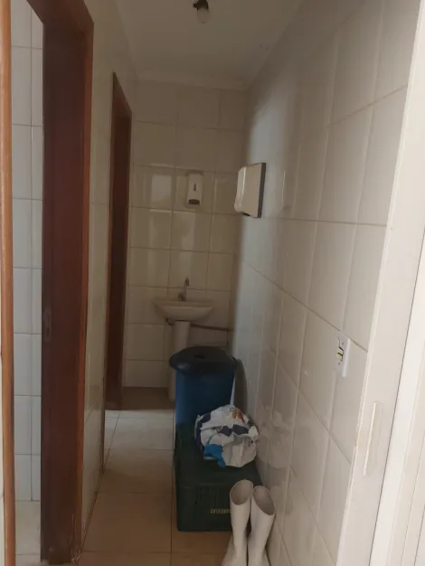 Comprar Comercial / Casa Comercial em S&atilde;o Jos&eacute; do Rio Preto R$ 1.200.000,00 - Foto 18