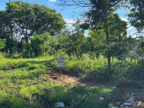 Comprar Terreno / Padr&atilde;o em Dobrada R$ 60.000,00 - Foto 2
