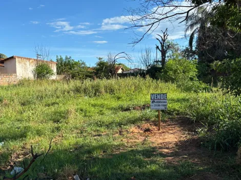 Terreno / Padr&atilde;o em Panorama 