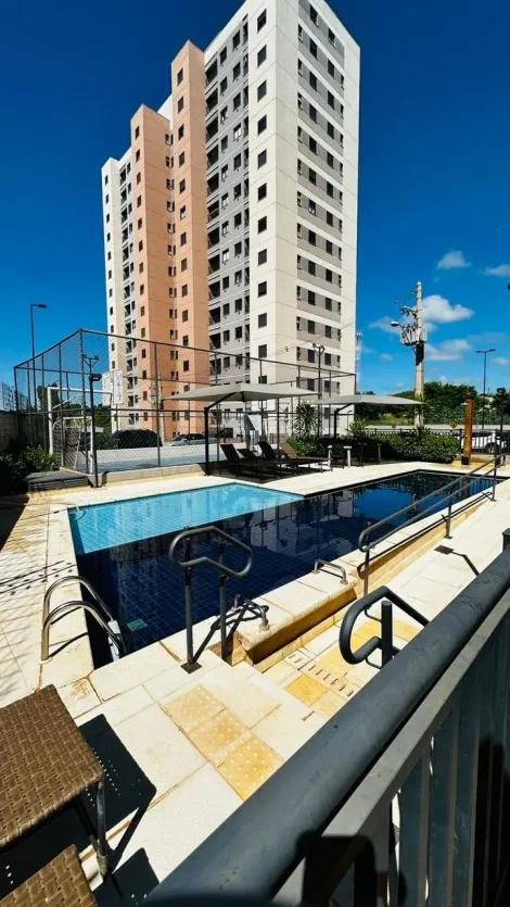 Apartamento / Padr&atilde;o em S&atilde;o Jos&eacute; do Rio Preto 