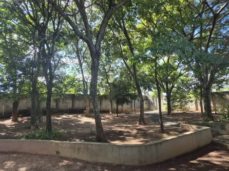 Comprar Rural / Ch&aacute;cara em S&atilde;o Jos&eacute; do Rio Preto R$ 1.600.000,00 - Foto 20