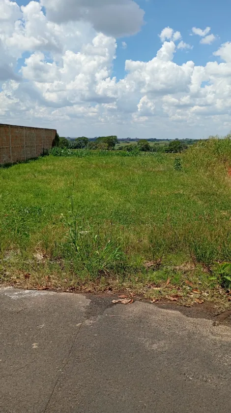 Terreno / Padr&atilde;o em Cedral 