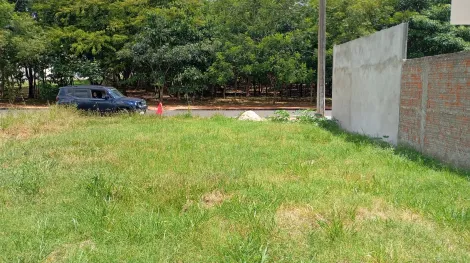 Comprar Terreno / Padr&atilde;o em Cedral R$ 100.000,00 - Foto 2