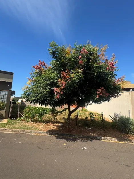 Terreno / Padr&atilde;o em Guapia&ccedil;u 