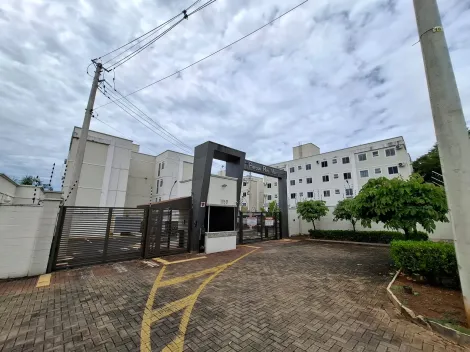 Alugar Apartamento / Padr&atilde;o em S&atilde;o Jos&eacute; do Rio Preto R$ 700,00 - Foto 14