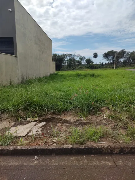 Alugar Terreno / Padr&atilde;o em S&atilde;o Jos&eacute; do Rio Preto. apenas R$ 120.000,00