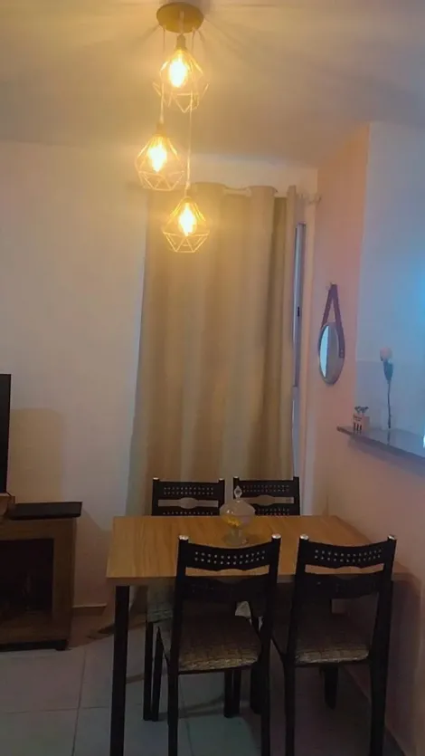 Comprar Apartamento / Padr&atilde;o em S&atilde;o Jos&eacute; do Rio Preto R$ 235.000,00 - Foto 4