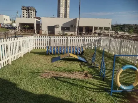 Comprar Apartamento / Padr&atilde;o em S&atilde;o Jos&eacute; do Rio Preto R$ 235.000,00 - Foto 10