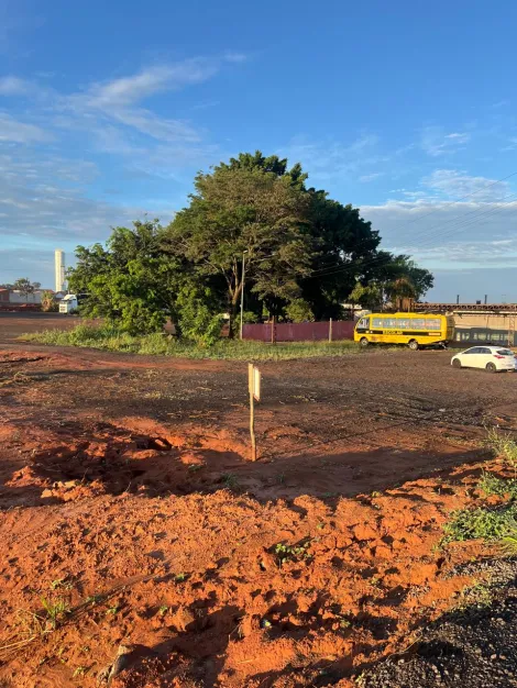 Alugar Terreno / &Aacute;rea em Bady Bassitt R$ 25.000,00 - Foto 3
