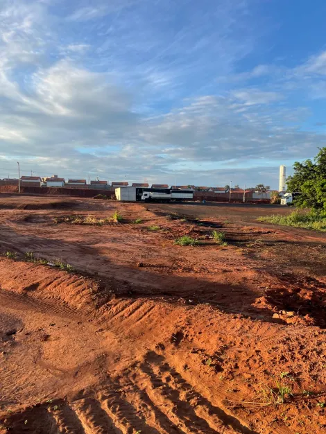 Alugar Terreno / &Aacute;rea em Bady Bassitt R$ 25.000,00 - Foto 4