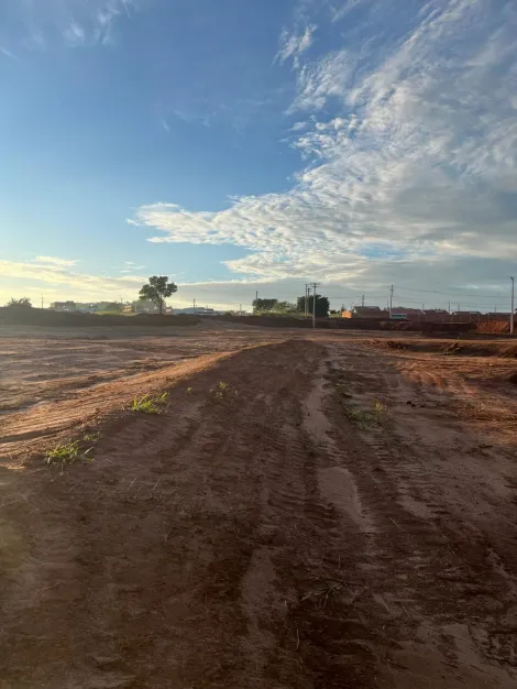 Alugar Terreno / &Aacute;rea em Bady Bassitt R$ 25.000,00 - Foto 5