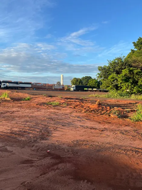 Alugar Terreno / &Aacute;rea em Bady Bassitt R$ 25.000,00 - Foto 7