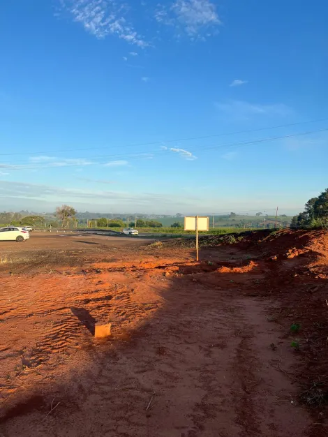 Alugar Terreno / &Aacute;rea em Bady Bassitt R$ 25.000,00 - Foto 8