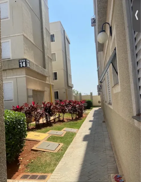 Comprar Apartamento / Padr&atilde;o em S&atilde;o Jos&eacute; do Rio Preto R$ 184.000,00 - Foto 7