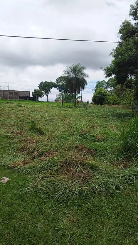 Alugar Rural / Ch&aacute;cara em S&atilde;o Jos&eacute; do Rio Preto. apenas R$ 128.000,00
