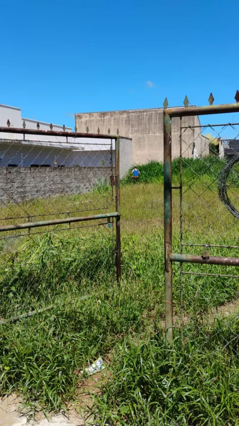 Comprar Terreno / Padr&atilde;o em Ibir&aacute; R$ 112.500,00 - Foto 5