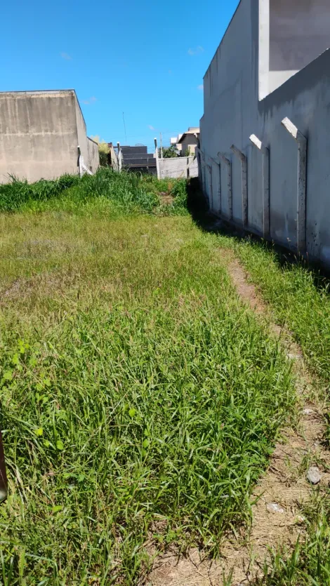 Comprar Terreno / Padr&atilde;o em Ibir&aacute; R$ 112.500,00 - Foto 2