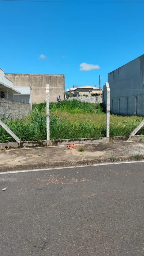 Comprar Terreno / Padr&atilde;o em Ibir&aacute; R$ 112.500,00 - Foto 4