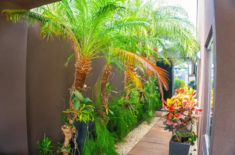 Comprar Casa / Condom&iacute;nio em S&atilde;o Jos&eacute; do Rio Preto R$ 2.250.000,00 - Foto 26