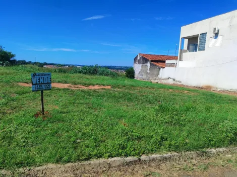 Comprar Terreno / &Aacute;rea em S&atilde;o Jos&eacute; do Rio Preto R$ 300.000,00 - Foto 5