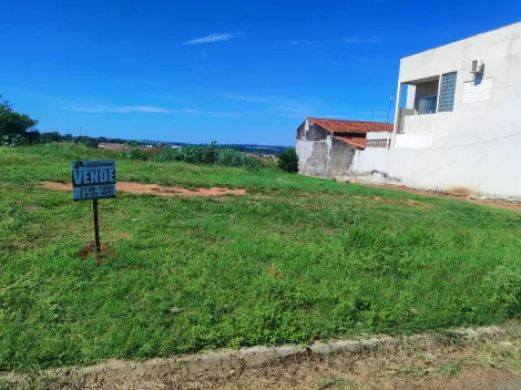 Comprar Terreno / &Aacute;rea em S&atilde;o Jos&eacute; do Rio Preto R$ 300.000,00 - Foto 6
