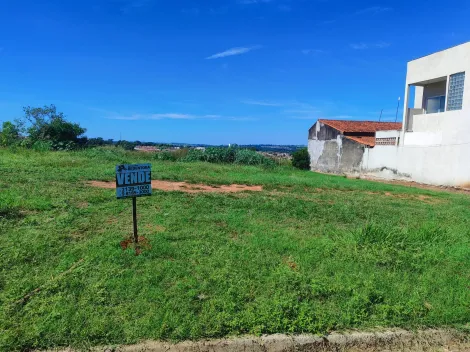 Comprar Terreno / &Aacute;rea em S&atilde;o Jos&eacute; do Rio Preto R$ 300.000,00 - Foto 7