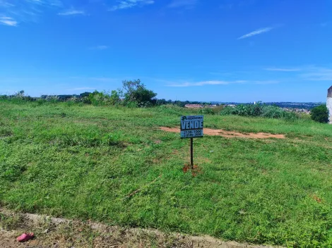 Comprar Terreno / &Aacute;rea em S&atilde;o Jos&eacute; do Rio Preto R$ 300.000,00 - Foto 8