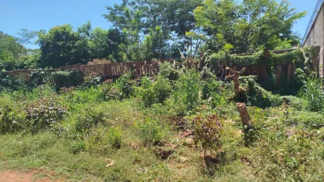 Comprar Rural / Ch&aacute;cara em S&atilde;o Jos&eacute; do Rio Preto R$ 120.000,00 - Foto 5