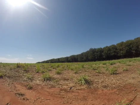 Comprar Rural / Fazenda em Fronteira R$ 11.000.000,00 - Foto 4
